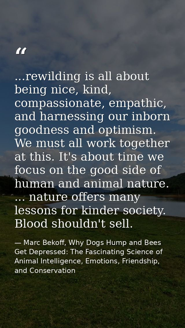...rewilding is all about being nice, kind, compassionate, empathic, and harnessing our inborn goodness and optimism. We — Marc Bekoff, Why Dogs Hump and Bees Get Depressed: The Fascinating Science of Animal Intelligence, Emotions, Friendship, and Conservation