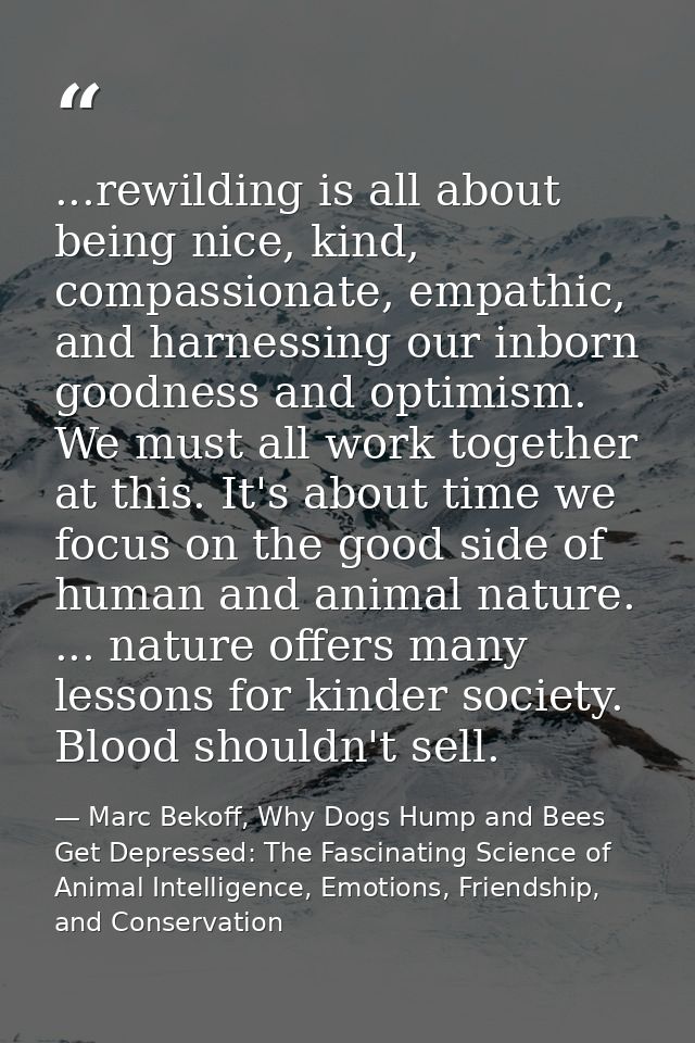 ...rewilding is all about being nice, kind, compassionate, empathic, and harnessing our inborn goodness and optimism. We — Marc Bekoff, Why Dogs Hump and Bees Get Depressed: The Fascinating Science of Animal Intelligence, Emotions, Friendship, and Conservation