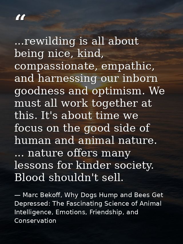 ...rewilding is all about being nice, kind, compassionate, empathic, and harnessing our inborn goodness and optimism. We — Marc Bekoff, Why Dogs Hump and Bees Get Depressed: The Fascinating Science of Animal Intelligence, Emotions, Friendship, and Conservation