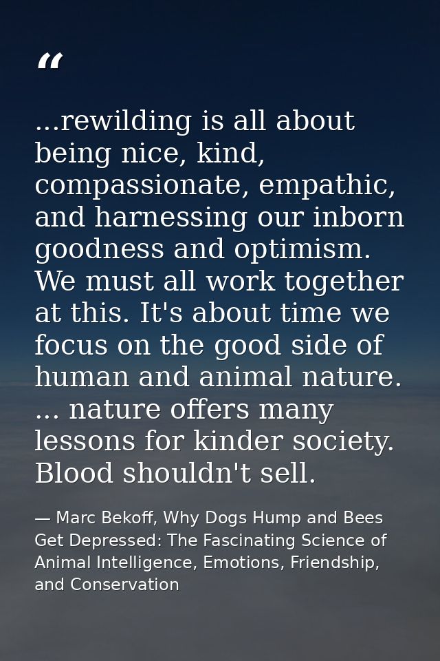 ...rewilding is all about being nice, kind, compassionate, empathic, and harnessing our inborn goodness and optimism. We — Marc Bekoff, Why Dogs Hump and Bees Get Depressed: The Fascinating Science of Animal Intelligence, Emotions, Friendship, and Conservation