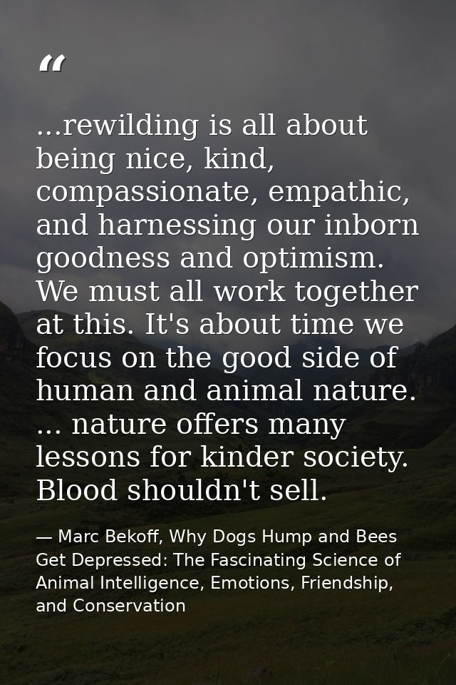 ...rewilding is all about being nice, kind, compassionate, empathic, and harnessing our inborn goodness and optimism. We — Marc Bekoff, Why Dogs Hump and Bees Get Depressed: The Fascinating Science of Animal Intelligence, Emotions, Friendship, and Conservation