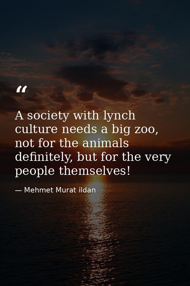 A society with lynch culture needs a big zoo, not for the animals definitely, but for the very people themselves! — Mehmet Murat ildan