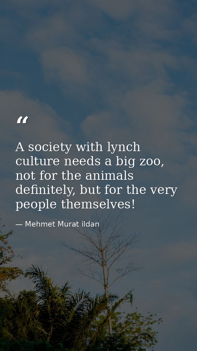 A society with lynch culture needs a big zoo, not for the animals definitely, but for the very people themselves! — Mehmet Murat ildan