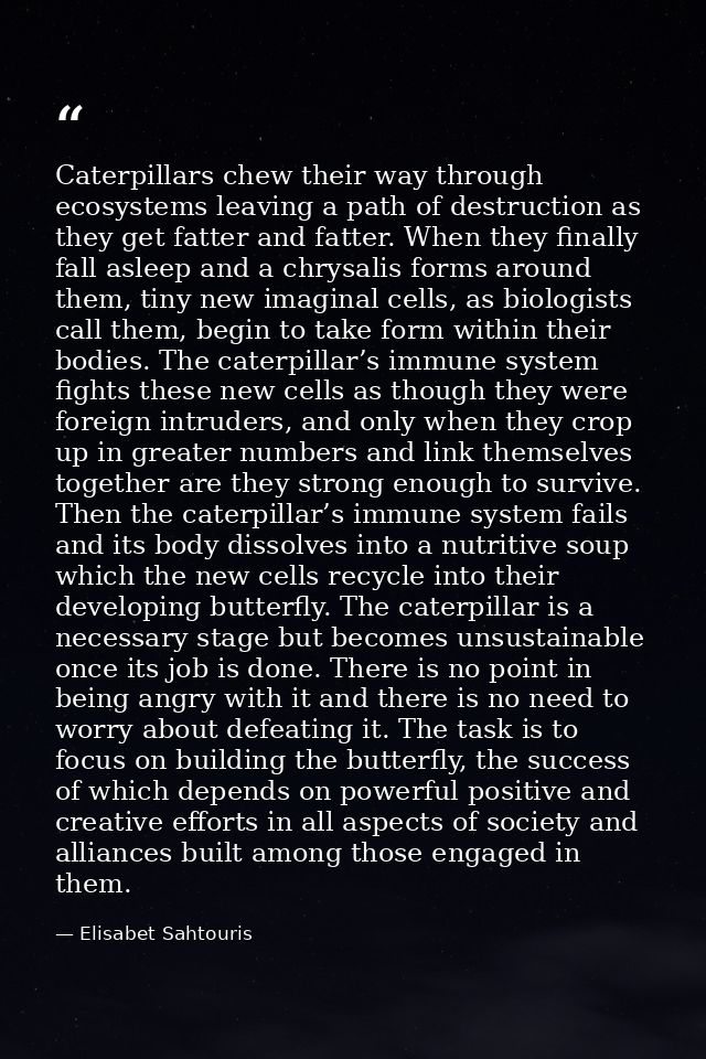Caterpillars chew their way through ecosystems leaving a path of destruction as they get fatter and fatter. When they fi — Elisabet Sahtouris