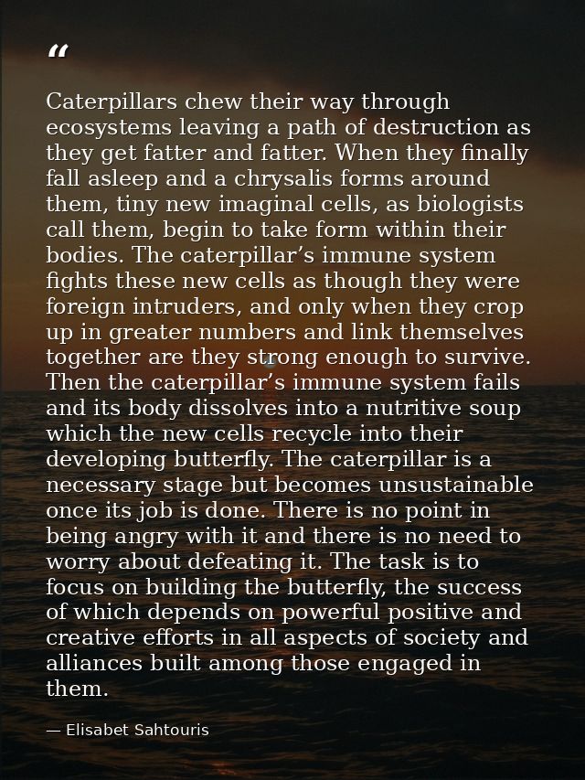 Caterpillars chew their way through ecosystems leaving a path of destruction as they get fatter and fatter. When they fi — Elisabet Sahtouris