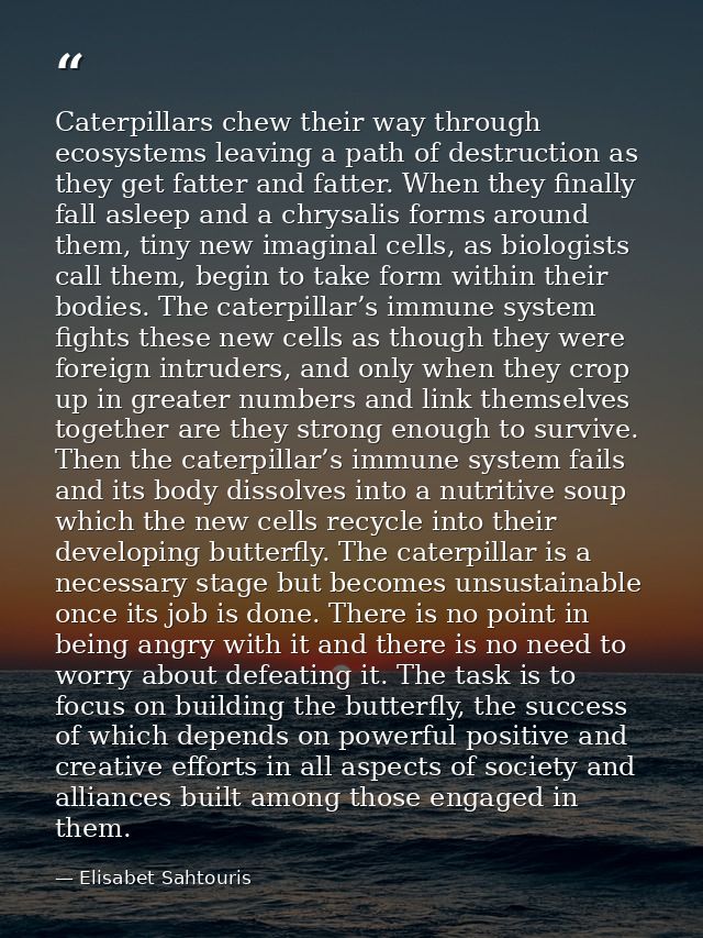 Caterpillars chew their way through ecosystems leaving a path of destruction as they get fatter and fatter. When they fi — Elisabet Sahtouris