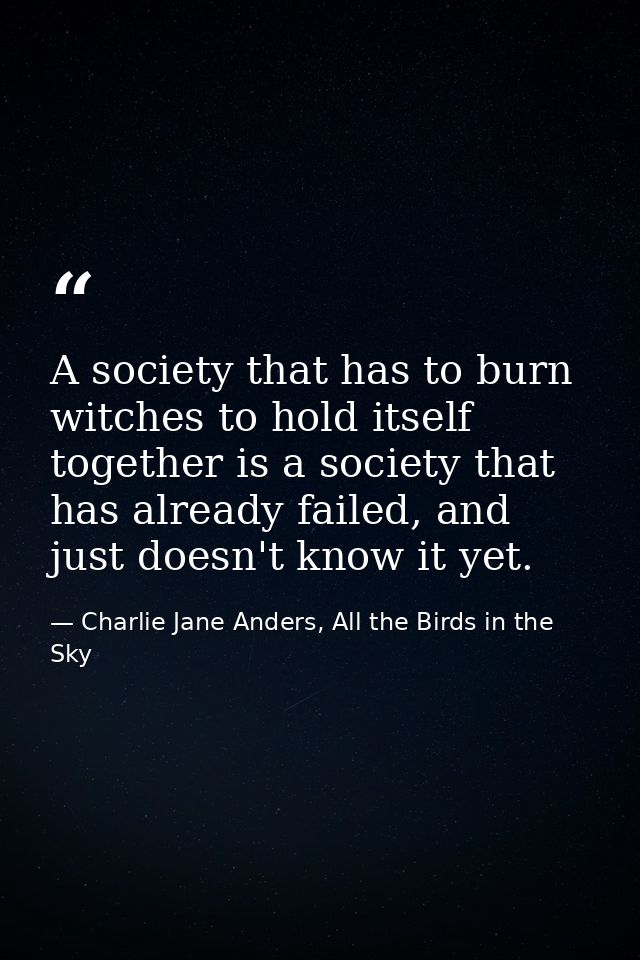 A society that has to burn witches to hold itself together is a society that has already failed, and just doesn't know i — Charlie Jane Anders, All the Birds in the Sky