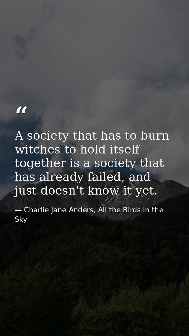A society that has to burn witches to hold itself together is a society that has already failed, and just doesn't know i — Charlie Jane Anders, All the Birds in the Sky