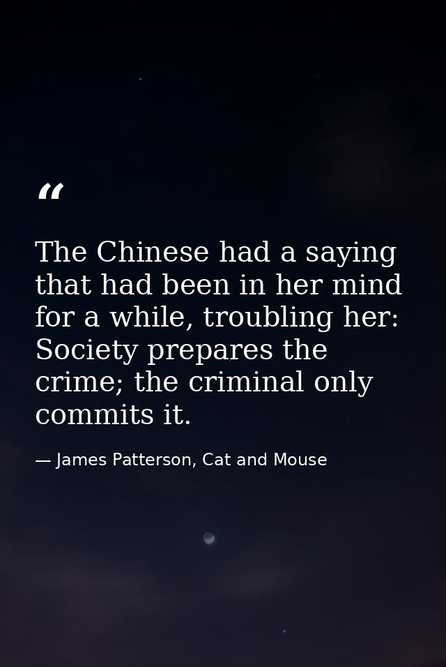 The Chinese had a saying that had been in her mind for a while, troubling her: Society prepares the crime; the criminal  — James Patterson, Cat and Mouse