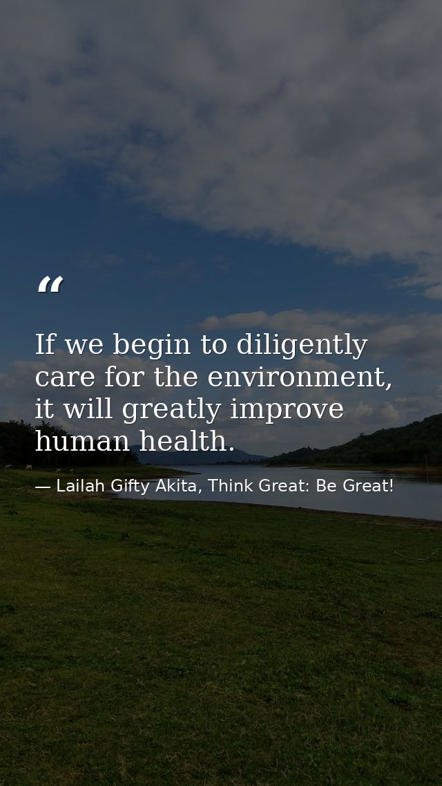 If we begin to diligently care for the environment, it will greatly improve human health. — Lailah Gifty Akita, Think Great: Be Great!