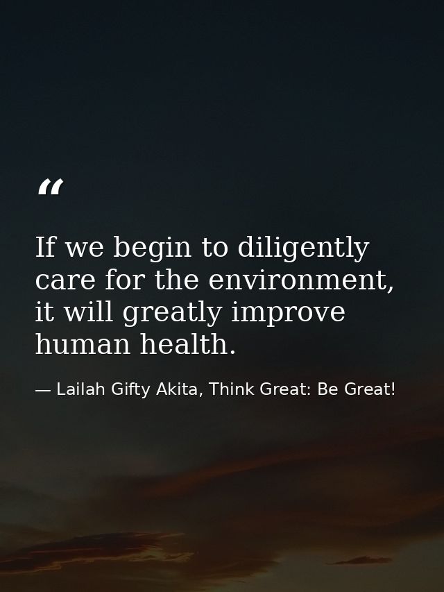 If we begin to diligently care for the environment, it will greatly improve human health. — Lailah Gifty Akita, Think Great: Be Great!