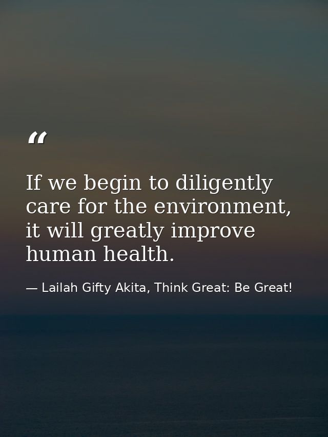 If we begin to diligently care for the environment, it will greatly improve human health. — Lailah Gifty Akita, Think Great: Be Great!