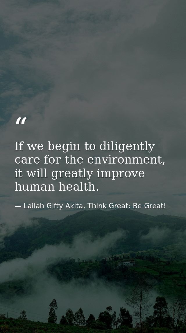 If we begin to diligently care for the environment, it will greatly improve human health. — Lailah Gifty Akita, Think Great: Be Great!
