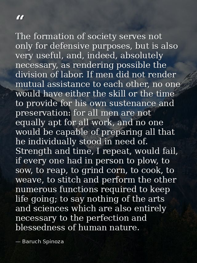The formation of society serves not only for defensive purposes, but is also very useful, and, indeed, absolutely necess — Baruch Spinoza