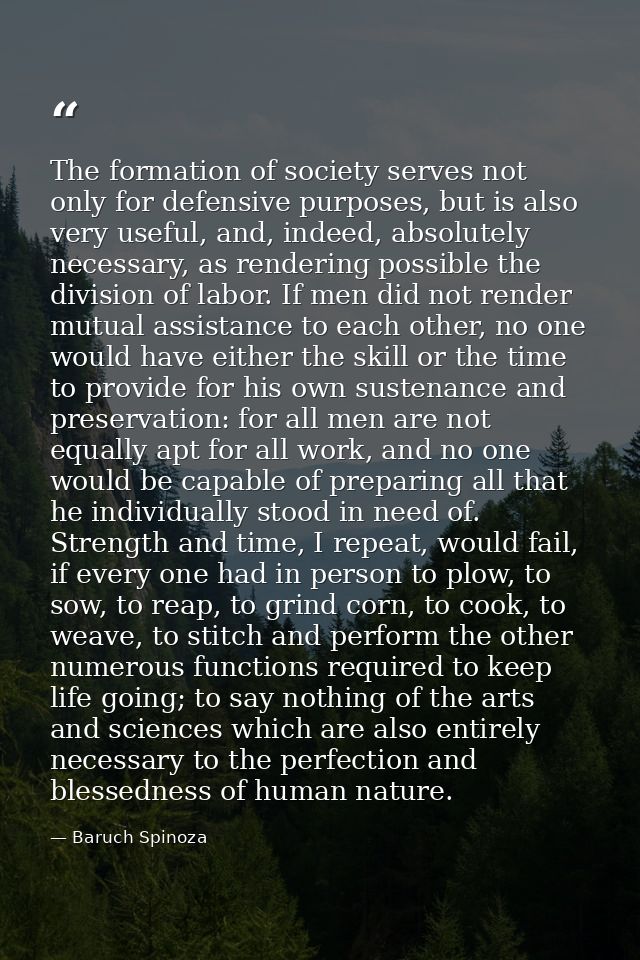 The formation of society serves not only for defensive purposes, but is also very useful, and, indeed, absolutely necess — Baruch Spinoza
