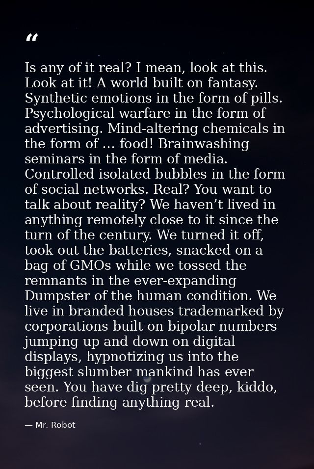 Is any of it real? I mean, look at this. Look at it! A world built on fantasy. Synthetic emotions in the form of pills.  — Mr. Robot