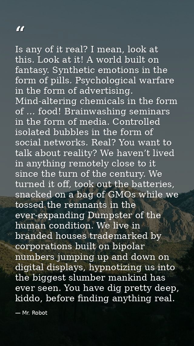 Is any of it real? I mean, look at this. Look at it! A world built on fantasy. Synthetic emotions in the form of pills.  — Mr. Robot