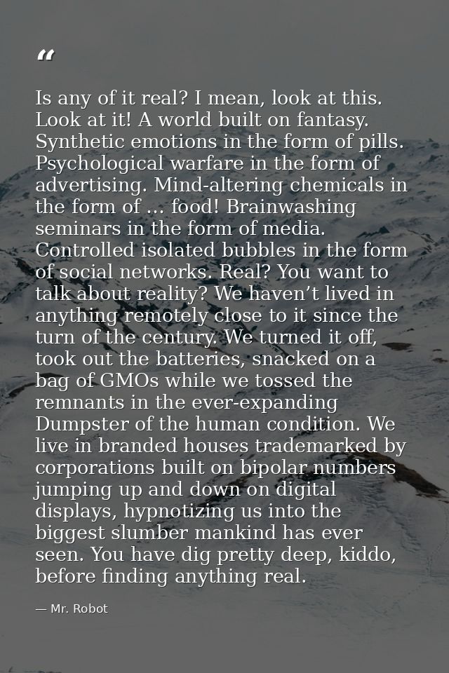Is any of it real? I mean, look at this. Look at it! A world built on fantasy. Synthetic emotions in the form of pills.  — Mr. Robot