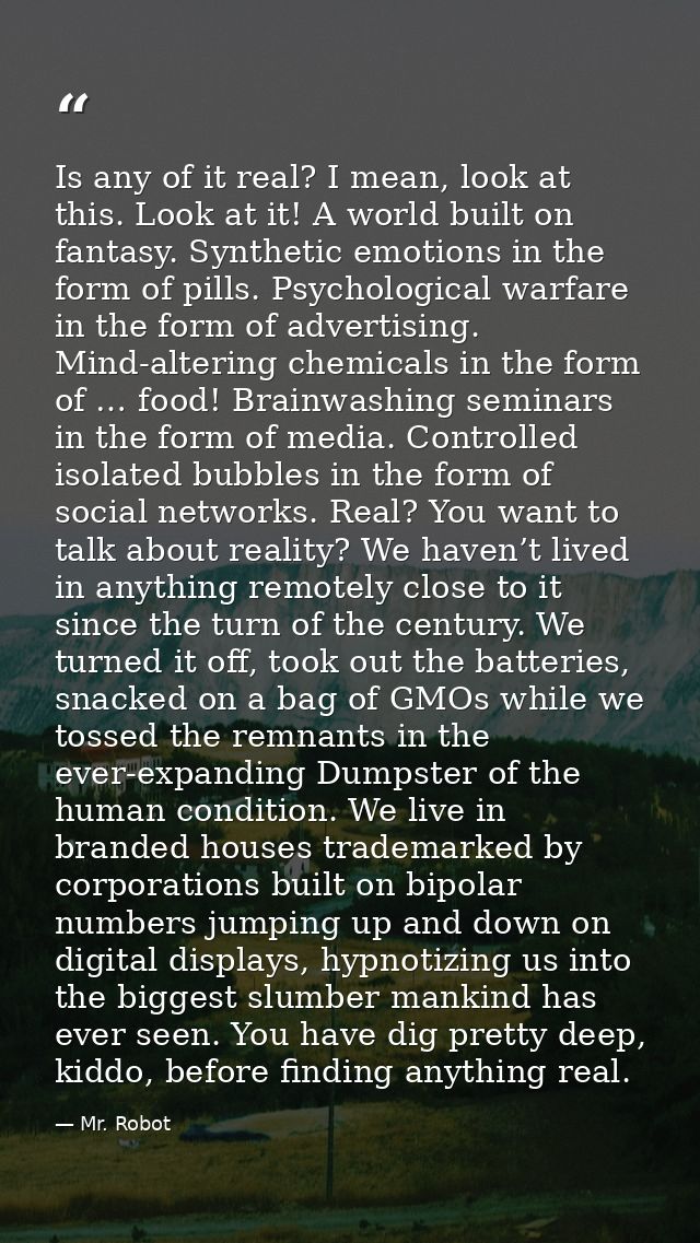 Is any of it real? I mean, look at this. Look at it! A world built on fantasy. Synthetic emotions in the form of pills.  — Mr. Robot