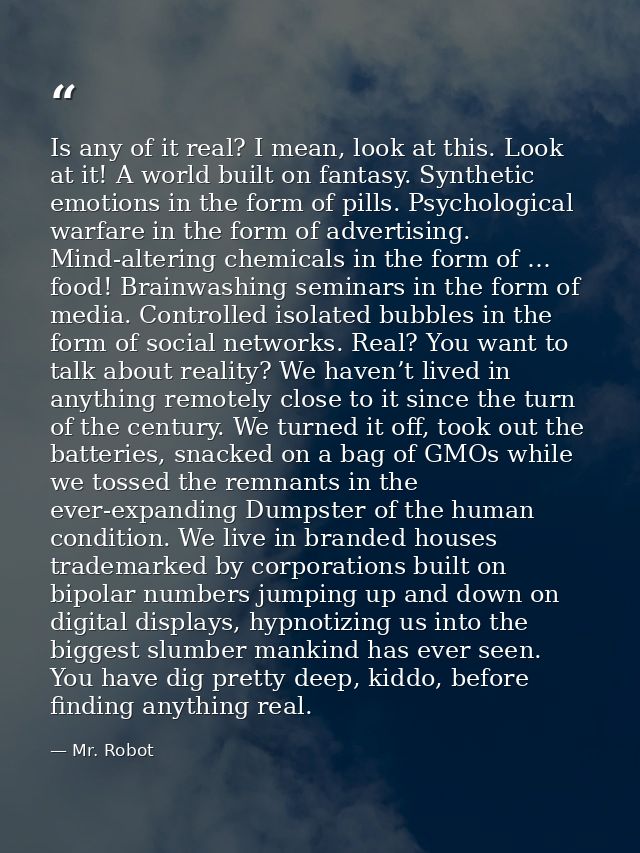 Is any of it real? I mean, look at this. Look at it! A world built on fantasy. Synthetic emotions in the form of pills.  — Mr. Robot