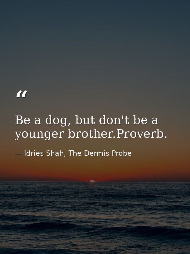 Be a dog, but don't be a younger brother.Proverb. — Idries Shah, The Dermis Probe