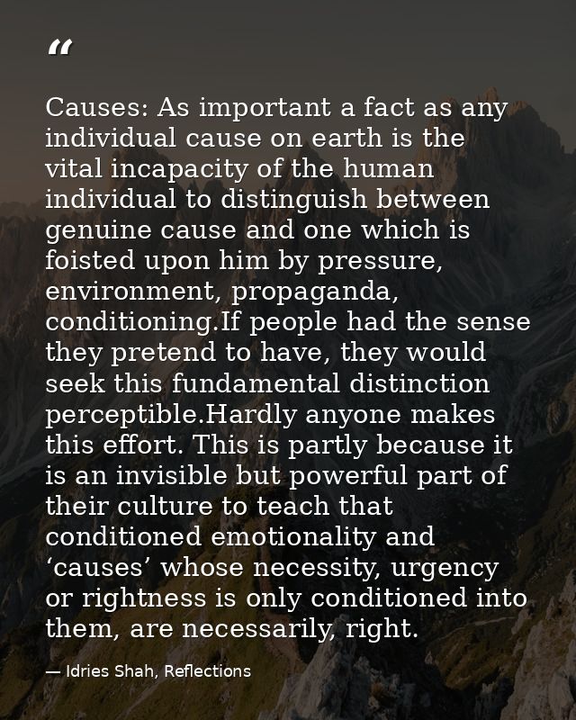 Causes: As important a fact as any individual cause on earth is the vital incapacity of the human individual to distingu — Idries Shah, Reflections