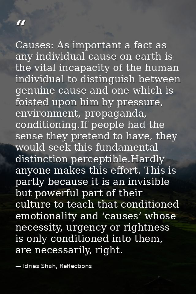 Causes: As important a fact as any individual cause on earth is the vital incapacity of the human individual to distingu — Idries Shah, Reflections