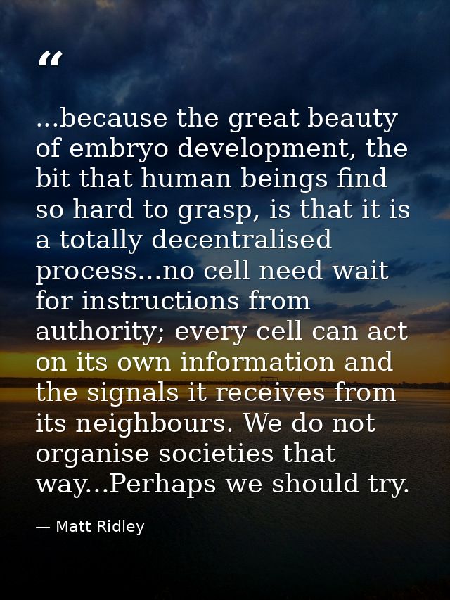 ...because the great beauty of embryo development, the bit that human beings find so hard to grasp, is that it is a tota — Matt Ridley
