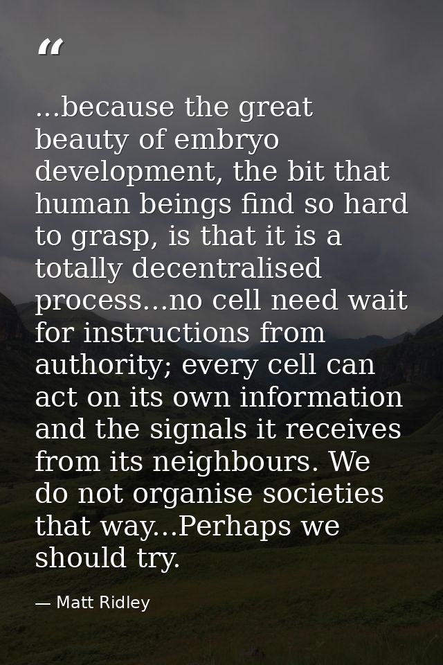 ...because the great beauty of embryo development, the bit that human beings find so hard to grasp, is that it is a tota — Matt Ridley