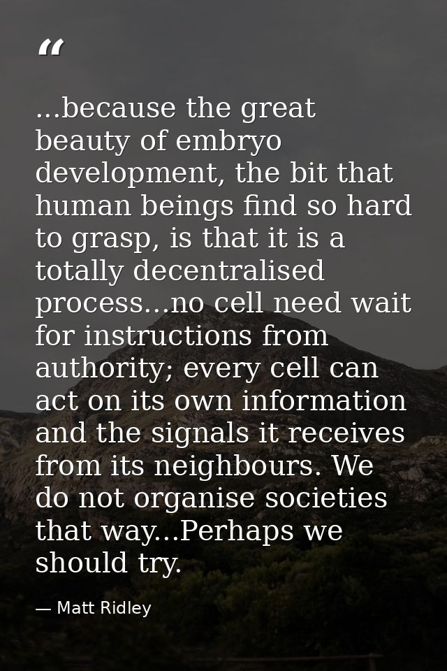 ...because the great beauty of embryo development, the bit that human beings find so hard to grasp, is that it is a tota — Matt Ridley