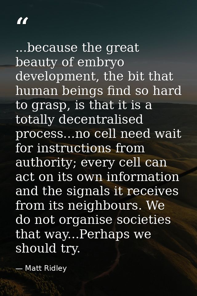 ...because the great beauty of embryo development, the bit that human beings find so hard to grasp, is that it is a tota — Matt Ridley