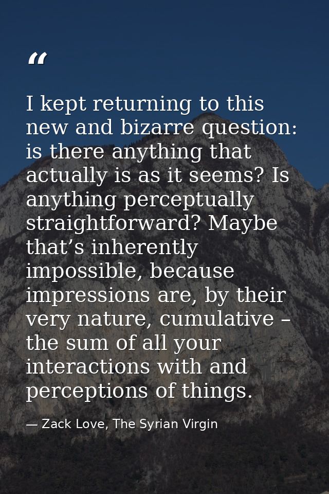 I kept returning to this new and bizarre question: is there anything that actually is as it seems? Is anything perceptua — Zack Love, The Syrian Virgin