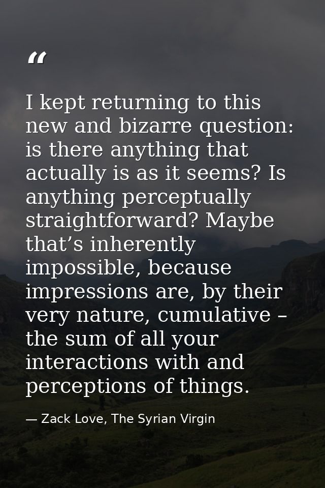 I kept returning to this new and bizarre question: is there anything that actually is as it seems? Is anything perceptua — Zack Love, The Syrian Virgin