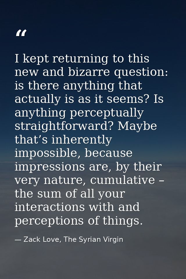 I kept returning to this new and bizarre question: is there anything that actually is as it seems? Is anything perceptua — Zack Love, The Syrian Virgin