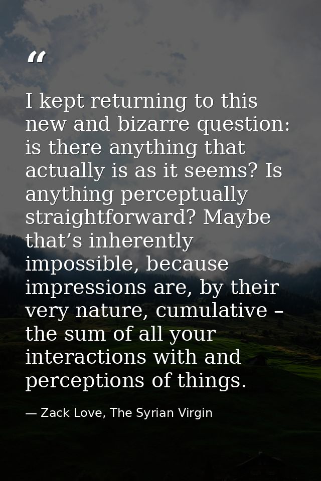 I kept returning to this new and bizarre question: is there anything that actually is as it seems? Is anything perceptua — Zack Love, The Syrian Virgin