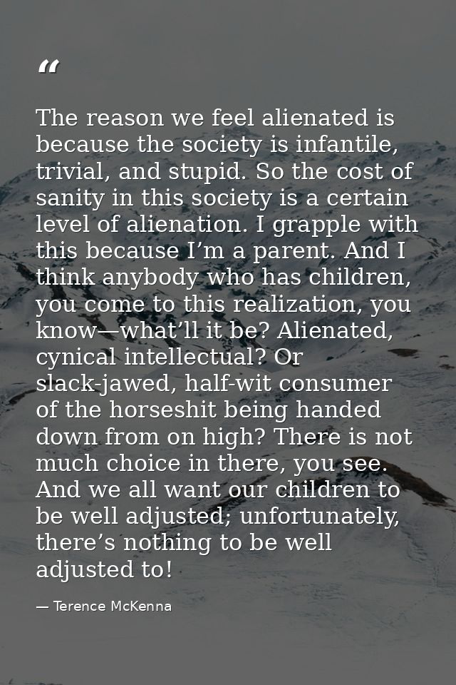 The reason we feel alienated is because the society is infantile, trivial, and stupid. So the cost of sanity in this soc — Terence McKenna