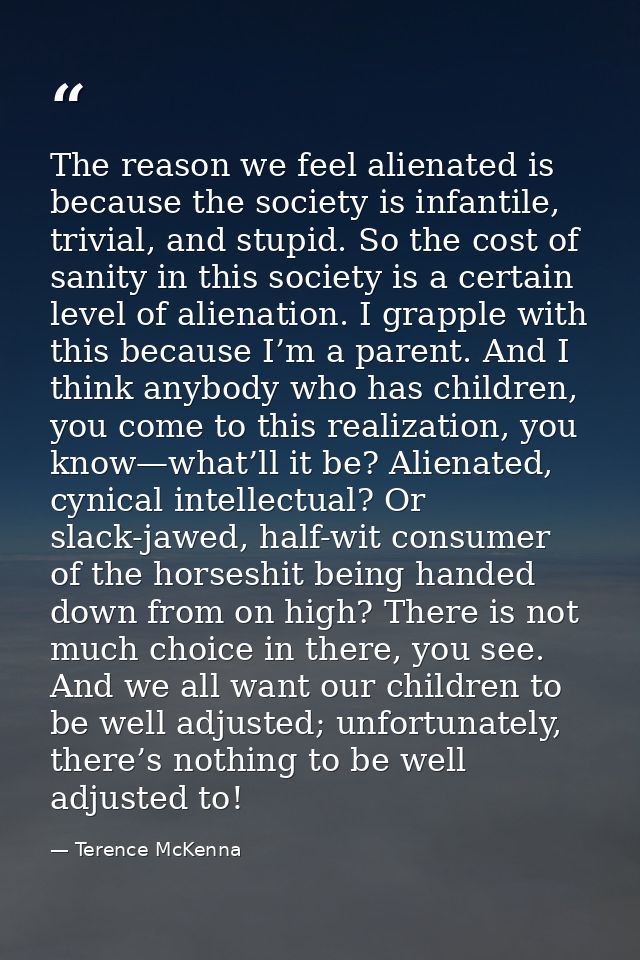 The reason we feel alienated is because the society is infantile, trivial, and stupid. So the cost of sanity in this soc — Terence McKenna
