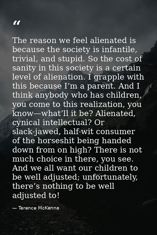 The reason we feel alienated is because the society is infantile, trivial, and stupid. So the cost of sanity in this soc — Terence McKenna