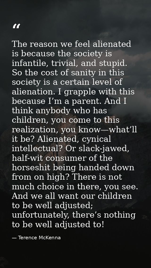The reason we feel alienated is because the society is infantile, trivial, and stupid. So the cost of sanity in this soc — Terence McKenna