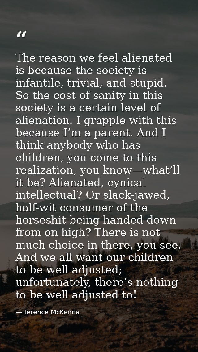 The reason we feel alienated is because the society is infantile, trivial, and stupid. So the cost of sanity in this soc — Terence McKenna