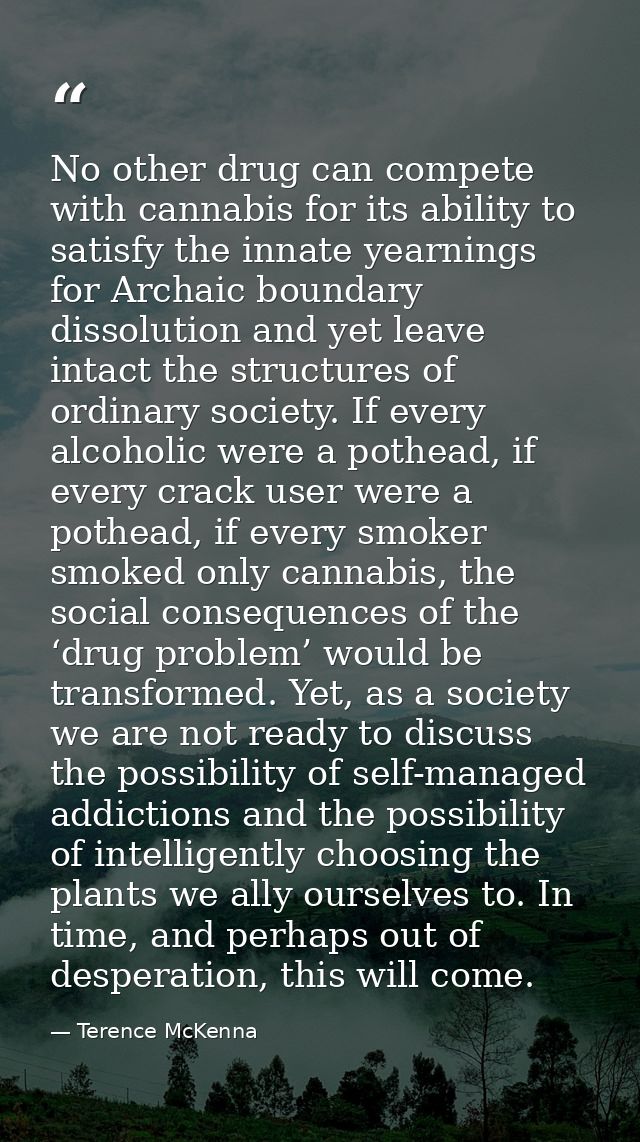 No other drug can compete with cannabis for its ability to satisfy the innate yearnings for Archaic boundary dissolution — Terence McKenna