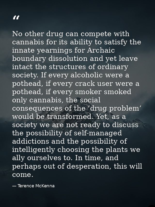 No other drug can compete with cannabis for its ability to satisfy the innate yearnings for Archaic boundary dissolution — Terence McKenna
