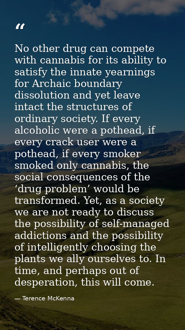 No other drug can compete with cannabis for its ability to satisfy the innate yearnings for Archaic boundary dissolution — Terence McKenna