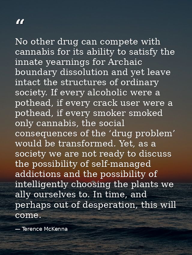 No other drug can compete with cannabis for its ability to satisfy the innate yearnings for Archaic boundary dissolution — Terence McKenna