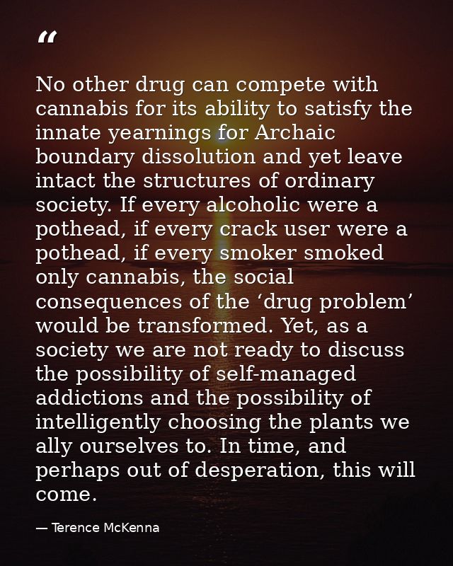 No other drug can compete with cannabis for its ability to satisfy the innate yearnings for Archaic boundary dissolution — Terence McKenna