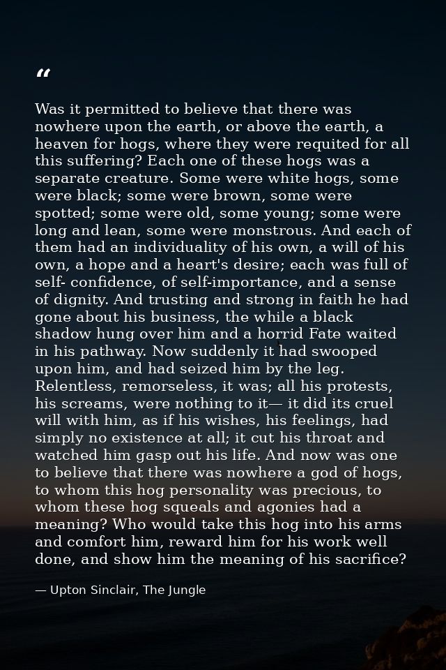 Was it permitted to believe that there was nowhere upon the earth, or above the earth, a heaven for hogs, where they wer — Upton Sinclair, The Jungle