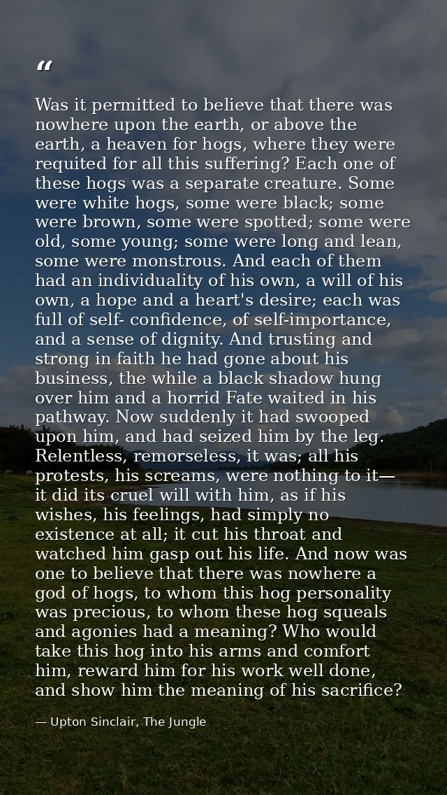 Was it permitted to believe that there was nowhere upon the earth, or above the earth, a heaven for hogs, where they wer — Upton Sinclair, The Jungle