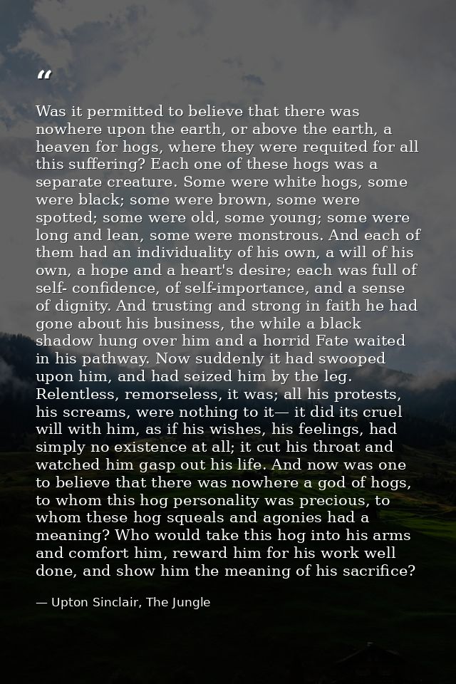 Was it permitted to believe that there was nowhere upon the earth, or above the earth, a heaven for hogs, where they wer — Upton Sinclair, The Jungle