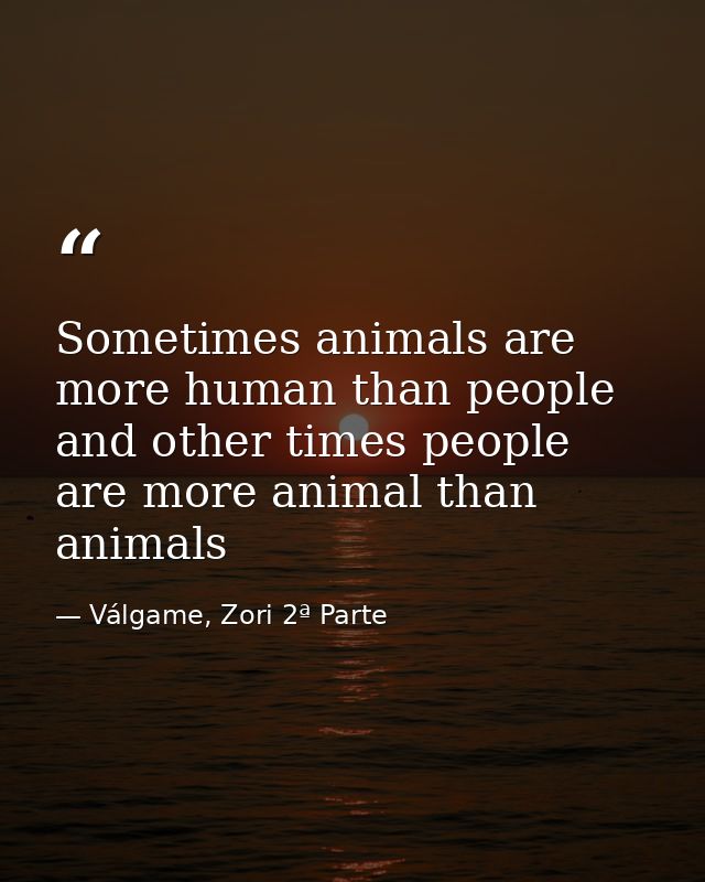 Sometimes animals are more human than people and other times people are more animal than animals — Válgame, Zori 2ª Parte