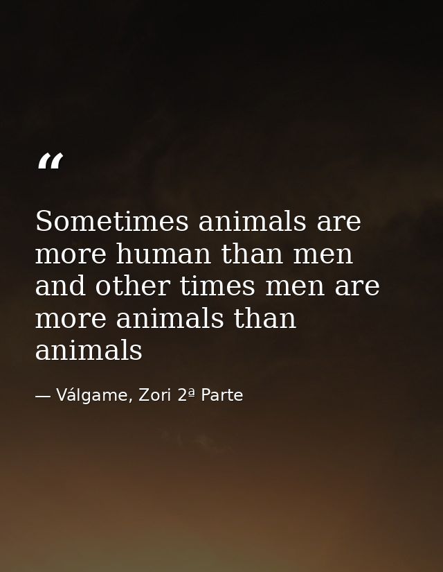Sometimes animals are more human than men and other times men are more animals than animals — Válgame, Zori 2ª Parte
